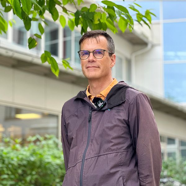 Ingvar Bergdahl, docent i arbets- och miljömedicinsk toxikologi vid Umeå universitet