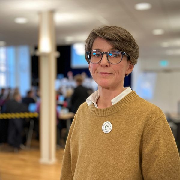 Henrika Lavonius Wike från Rädda Spikbodarna, klädd i en brun tröja står i förgrunden av en konferenslokal. Bakom henne syns en grupp människor som är samlade för kommunfullmäktige i Östersund.