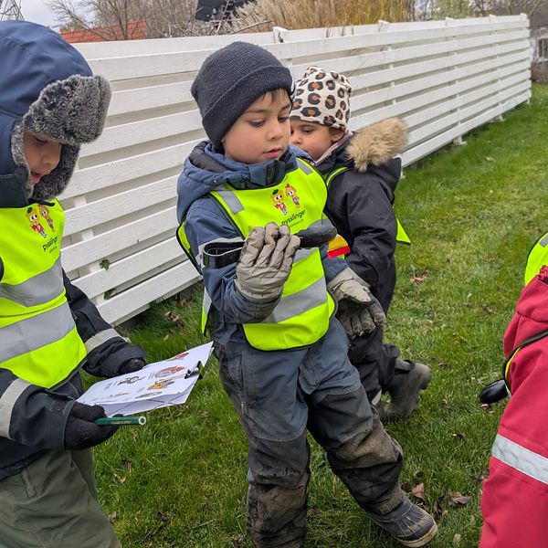 Barn i reflexvästar står på en gräsmatta och håller  skräp med en plasttång. En vit stängselkonstruktion syns i bakgrunden. De är klädda för kyligt väder och två av dem har handskar på sig.