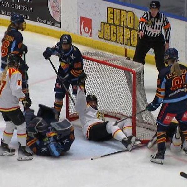 Djurgården-Brynäs i SDHL