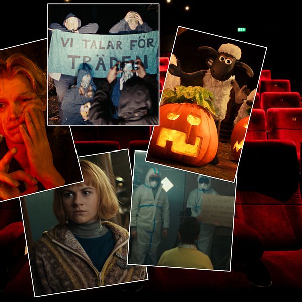 Filmaffischer för Clayface, Fåret Shaun och Nelly Rapp i en biosalong