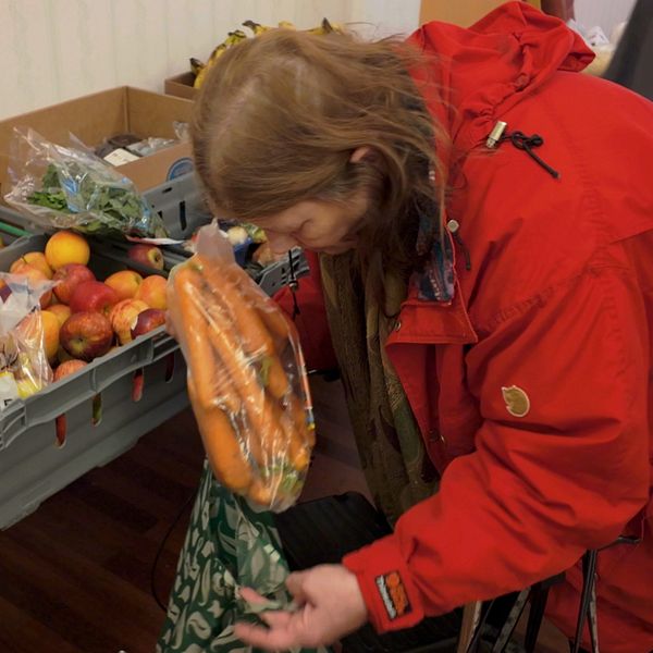 En kvinna i en röd jacka böjer sig ned för att plocka upp morötter från en grön kasse medan hon står framför en bänk fylld med olika frukter och grönsaker, inklusive äpplen och grönsallad.