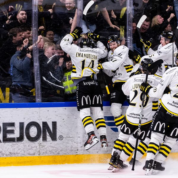 Ishockeyspelare jublar framför fans vid rinkens sarg.