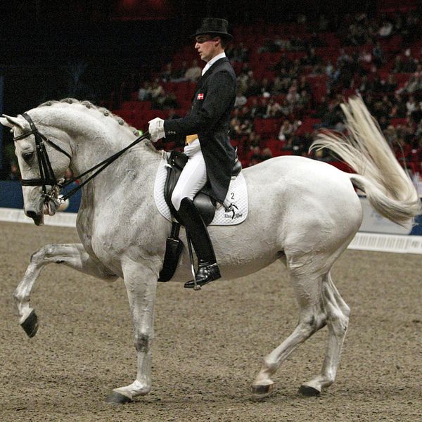 Denske dressyrstjärnan Andreas Helgstrand.