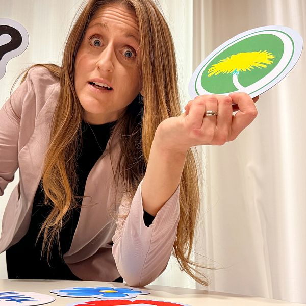 SVT:s reporter Jonna Björnbom med partilogotyper om Region Dalarna efter valet