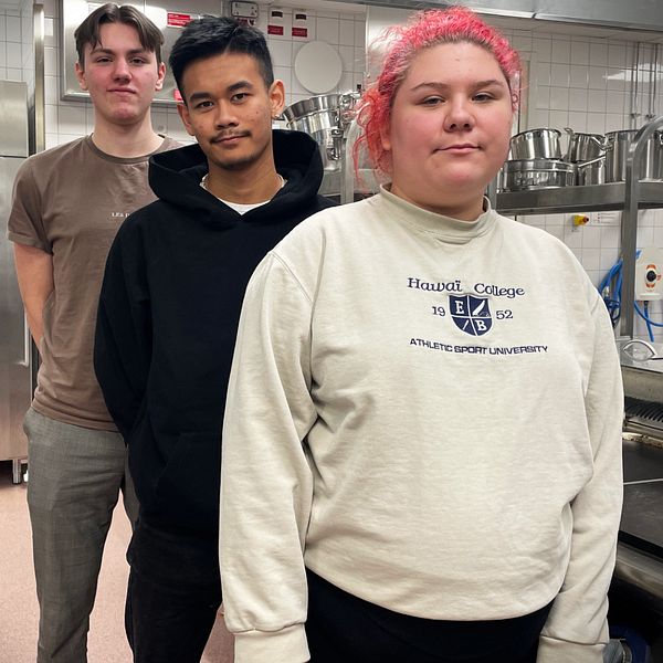 Viggo, Ethan och Amelia är elever på Västerviks gymnasium.