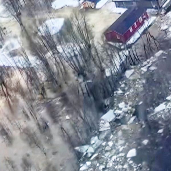 Flygbild på en översvämning på grund av ispropp i Tärnaby. Ett skogsområde med ett rött hus vid vattenbrynet. Träd omges av vatten och isflak syns flyta i översvämningsvattnet.