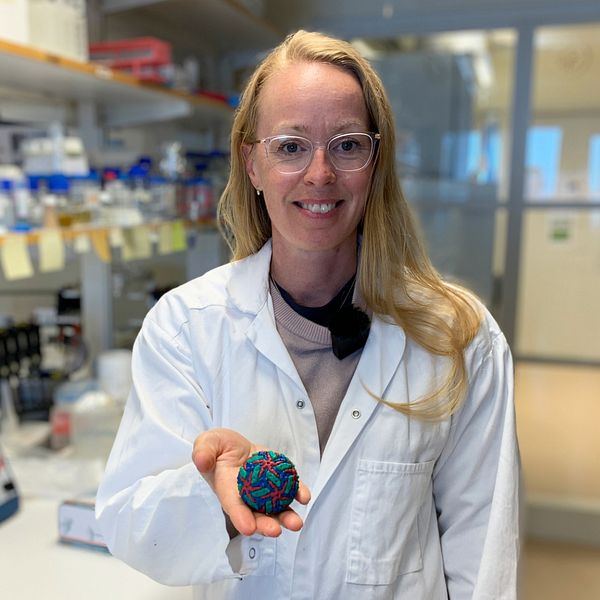 Professorn Anna Överby Wernstedt håller i en modell av TBE-viruset på Norrlands universitetssjukhus i Umeå.