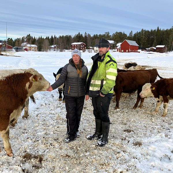 Lantbrukarpar i Överhogdal