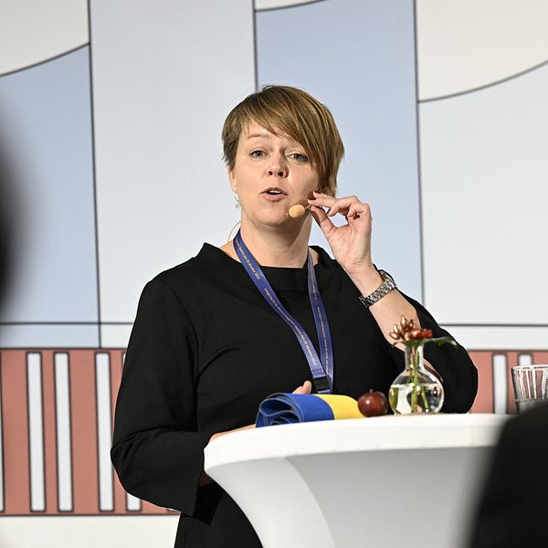 Katrin Stjernfeltd Jammeh (S)