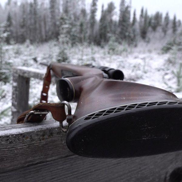 En bild på ett jaktgevär med snöbeklädd skog i bakgrunden.