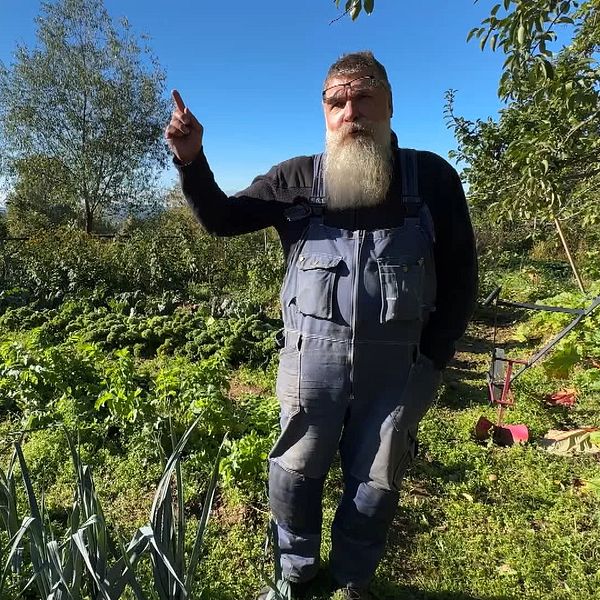 Patrick Sellman står i sin grönsaksodling och pekar uppåt. Omgivningen består av frodiga växter med rader av grönsaker som sallad och lök, samt träd och buskar i bakgrunden. Himlen är klar och blå, vilket tyder på en solig dag.