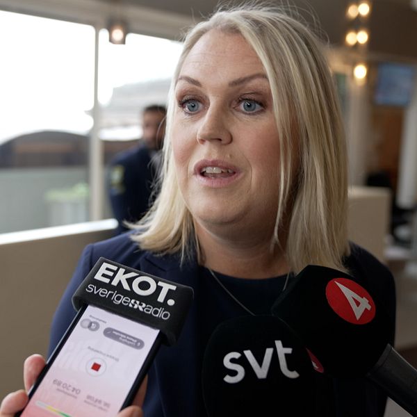 Lena Hallengren (S), gruppledare