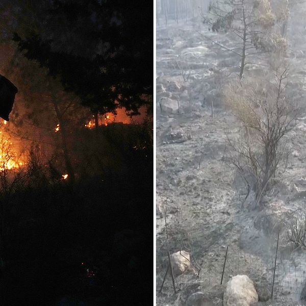 Delad bild. Till vänster: brandman vid skogsbrand. Till höger: utbränd, rökig skogsmark.