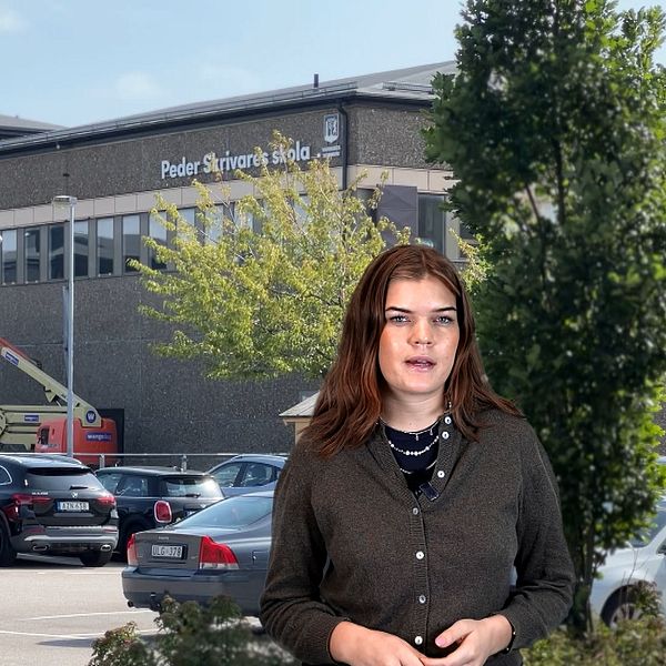 Byggnaden ”Pedar Strömmers skola” syns i bakgrunden, omgiven av träd och parkeringsplatser med flera bilar. En person står i förgrunden, iförd en mörk tröja och med en känsla av att presentera information.
