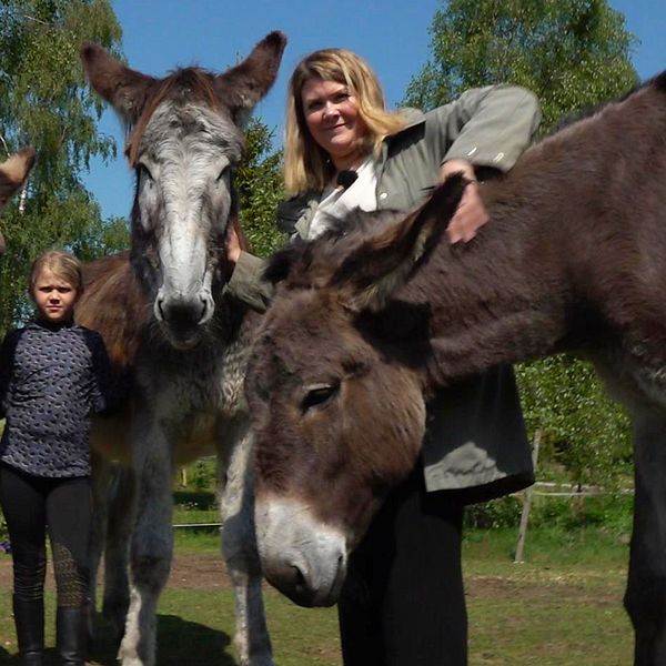 Tre lurviga mammutåsnor
