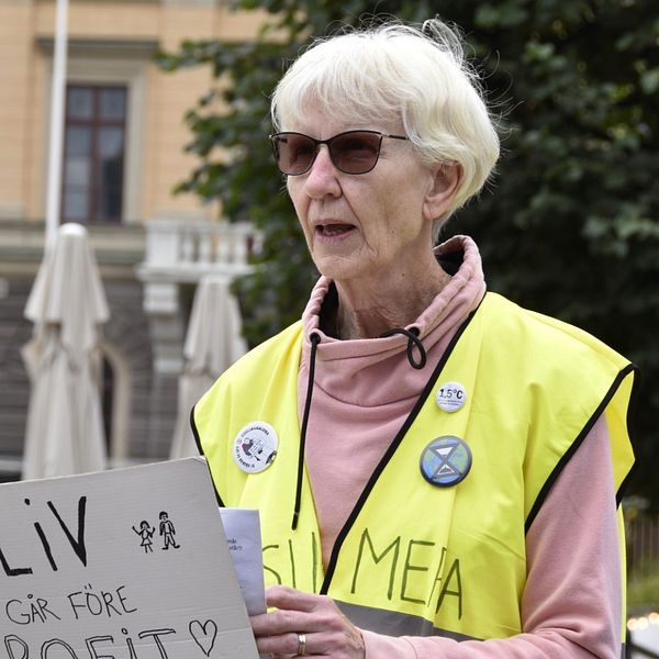 70-åriga Birgitta från Gävle blockerade bilväg för klimatet – nu är hon ...