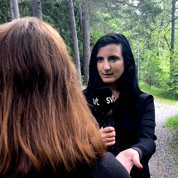 Kvinnor i skogen
