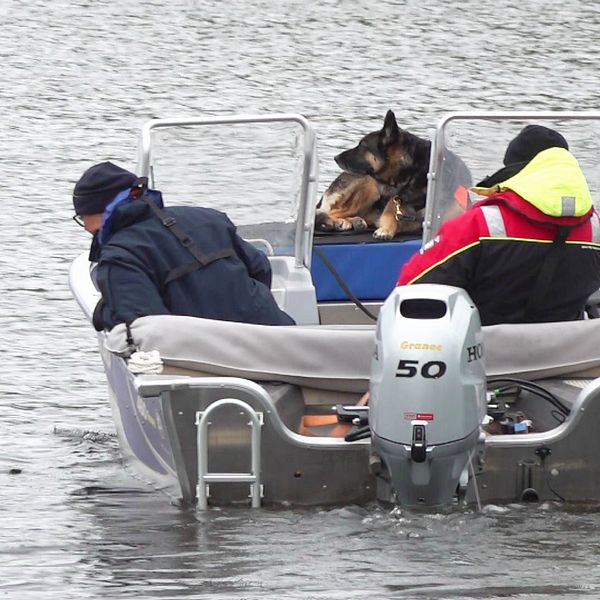 Bild på två män och en hund i en båt. De letar efter en försvunnen man.