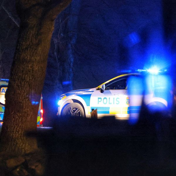 Polisbil med blåljus bland träd på kvällstid.