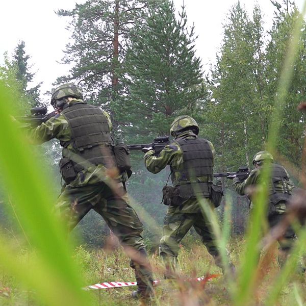 Soldater i skogen riktar sina vapen i stridsposition.