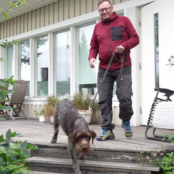 Ripjägaren Anders Burman går ut med sin jakthund.