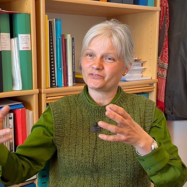 Sara Holmberg gestikulerar i ett kontor med bokhyllor i bakgrunden