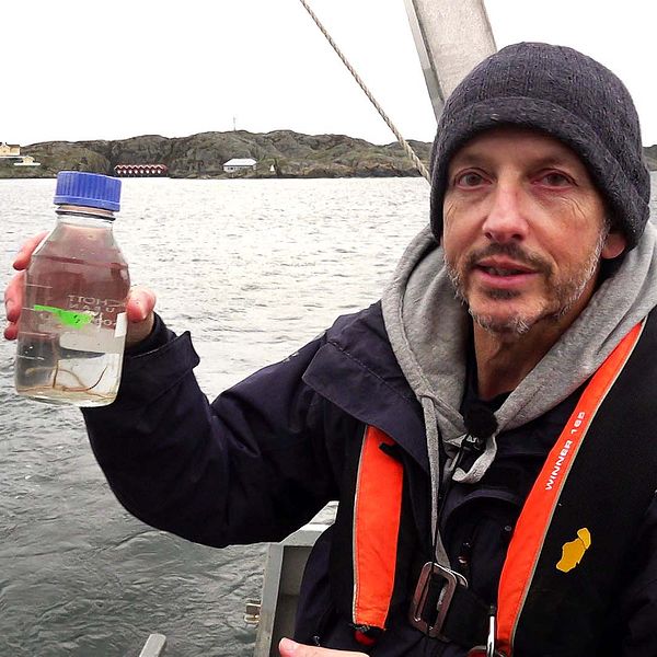 En person står på en båt och håller upp en plastflaska med vatten. I bakgrunden syns en kustlinje med hus och en öppen vattenyta. Det är en grå och molnig dag.