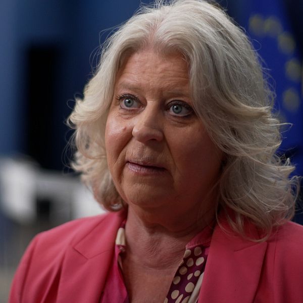 Camilla Waltersson Grönvall under pressträff.
