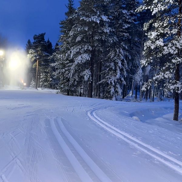 Konstsnöspåret i Ånnaboda och snökanoner i bakgrunden.