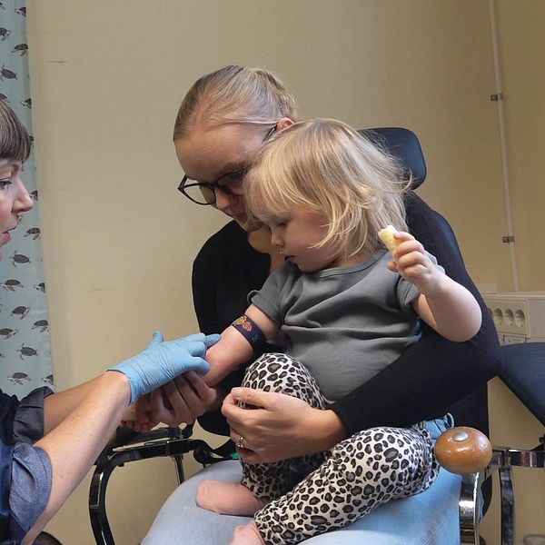 En sjuksköterska letar blodkärl på tvååring som sitter i sin mammas knä.