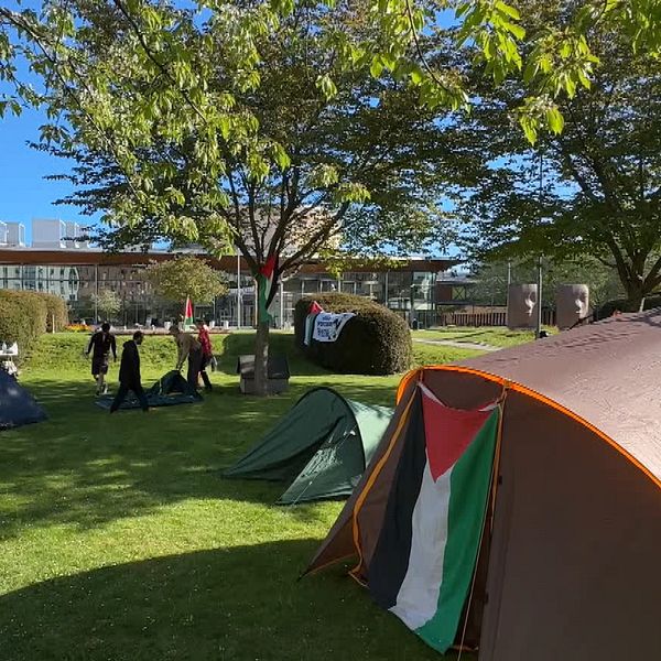 Tältläger på campus vid Karlstads universitet.