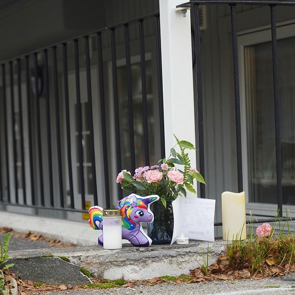 Blommor och en enhörning på asfalten utanför en dörr