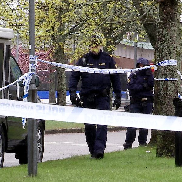 Poliser arbetar vid ett avspärrat område utomhus med polisband runt träd och fordon.