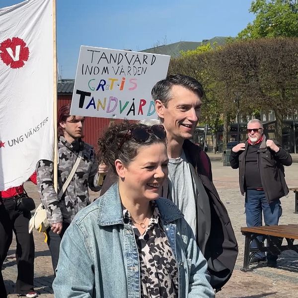 demonstrationståg
