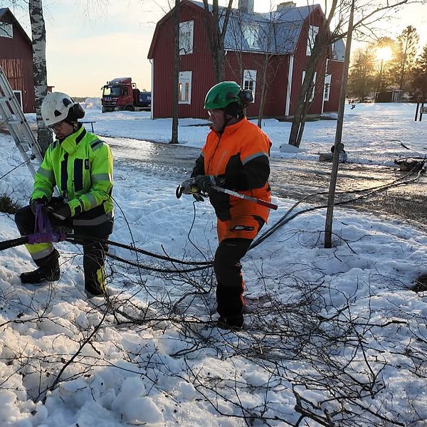 Två personer i arbetskläder står i en snöbeklädd trädgård och arbetar med att klippa grenar. Den ena personen bär en grön och svart jacka med en hjälm, medan den andra har på sig en orange och svart jacka. I bakgrunden syns röda hus och en stege lutad mot ett träd. Solen står lågt på himlen och kastar ett varmt ljus över scenen.