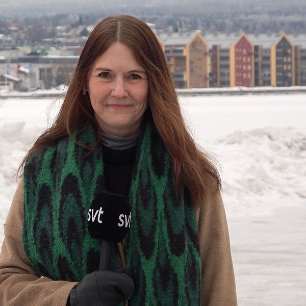 Reporter Anna Beijron står i hamnen i Sundsvall och tittar in i kameran.