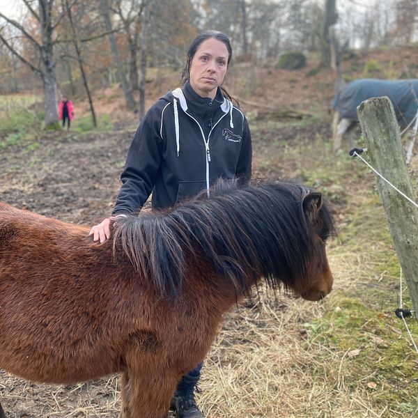 En person står bredvid en brun häst i en naturskön miljö med träd och en öppen äng i bakgrunden. I fjärran syns en annan person som går, medan ett stall eller en hage är synlig på höger sida av bilden.