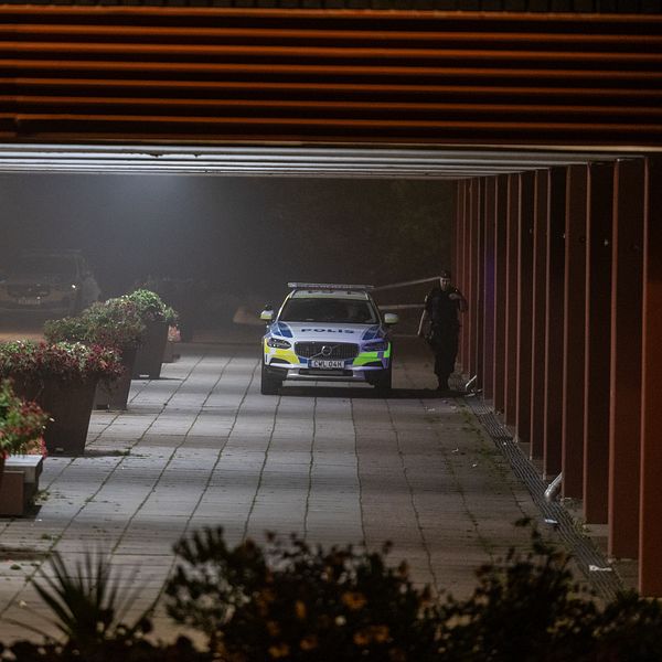 En polisbil står parkerad under en byggnad i dimmigt, nattligt ljus vid en vårdcentral. Vårdcentralens skylt är synlig ovanför ingången, och det finns gröna växter i stora krukor längs gången. En person syns i närheten av bilen.