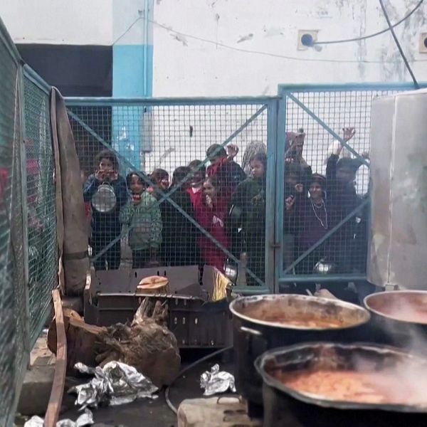 Människor köar vid stängsel för matutdelning i Gaza under pågående svältkris.