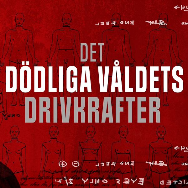 Röd bakgrund med texten ”Det dödliga våldets drivkrafter” i vitt och grått. Sofia Yohannes ansikte i vänsterkant.