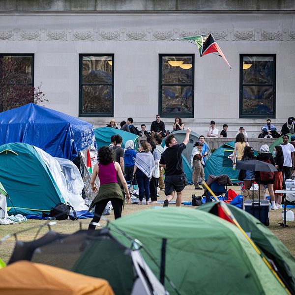 Demonstranter vid Columbia University med sina tält.