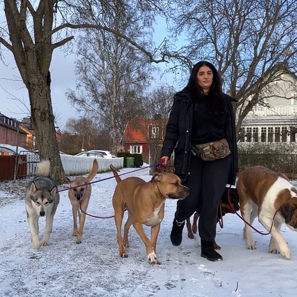 Sabrina går med hunddagiset på promenad