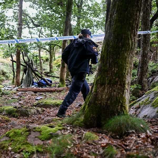 Polis i skog vid en avspärrning.