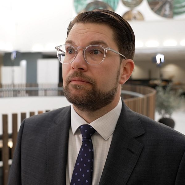 Jimmie Åkesson, Sverigedemokraternas partiledare på partiets landsdagar.