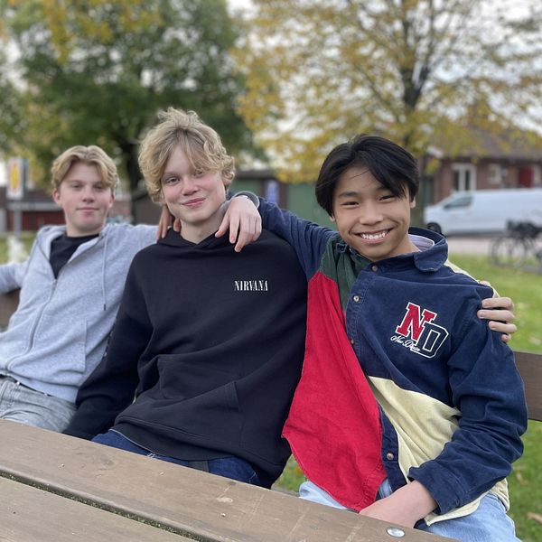 Tre gymnasieelever på Sturegymnasiet i Halmstad svarar på enkätfrågor om ekonomi i skolan.