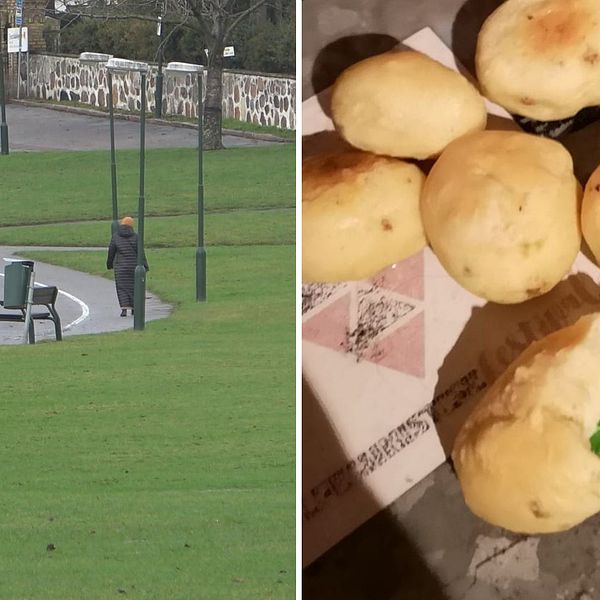 Hundägare i Ögårdsparken och bullarna med glas i