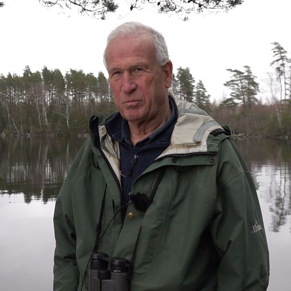 Thomas Andersson är ornitolog och orolig över situationen för rovfågeln Fiskgjusen i Fegen och i flera delar av Sverige.