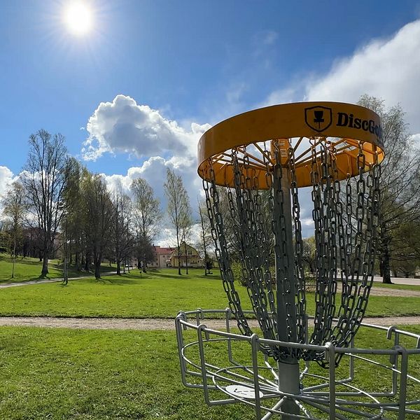 Discgolfkorg i en solig park med grönt gräs och träd i bakgrunden.