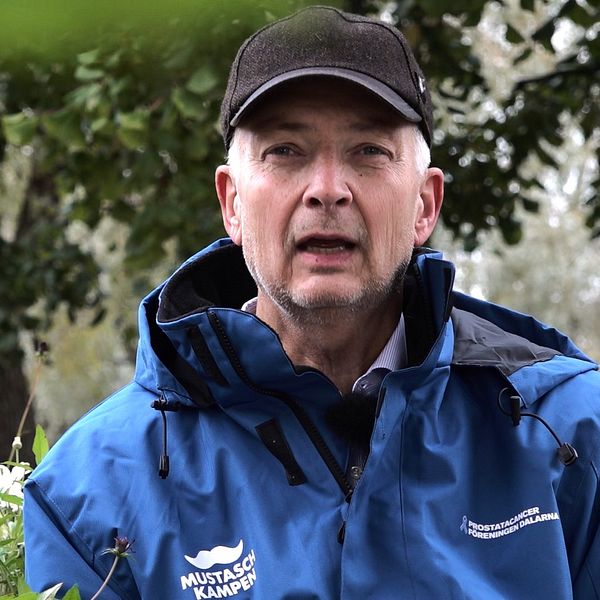 Jan Holgersson